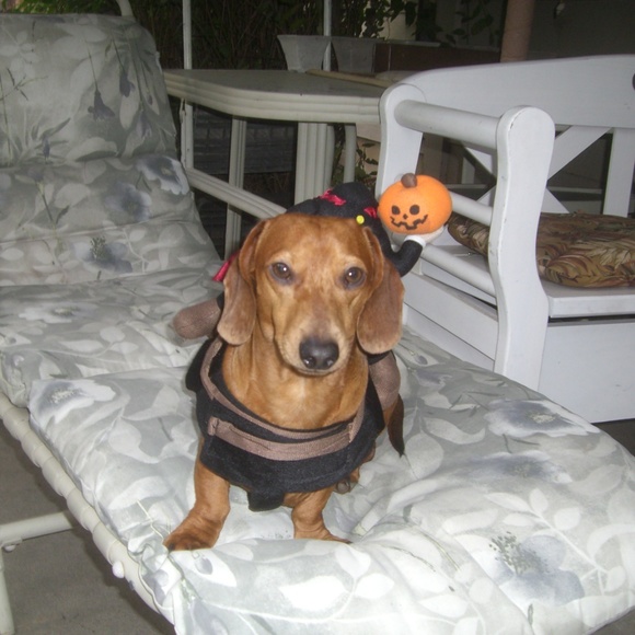 Meet your Posher, Paisley Tweed - Picture 4 of 8